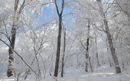 雪乡