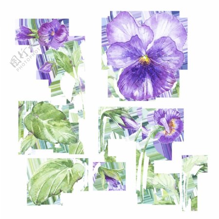手绘紫色小花透明素材