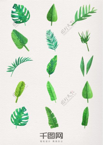 水彩植物绿色叶片素材