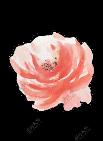粉红色水彩手绘花朵透明素材
