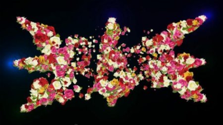 鲜花花瓣循环变换视频素材