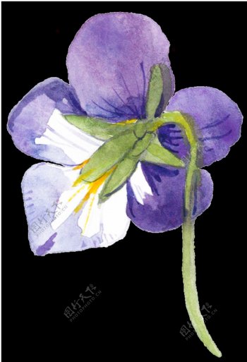 紫色手绘小花水彩透明素材