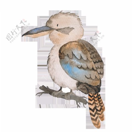 手绘彩色小鸟透明动物素材