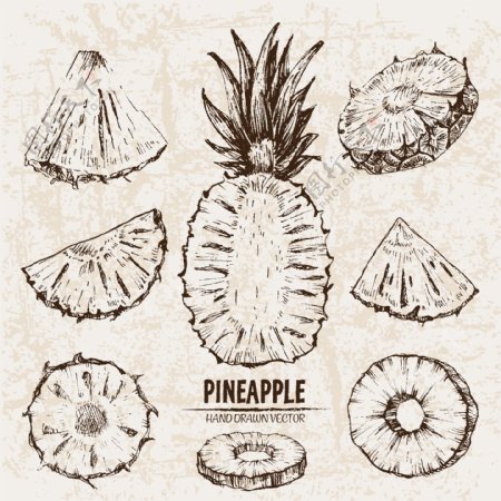 手绘复古水果菠萝插画