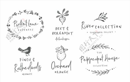 农产品卡通手绘logo