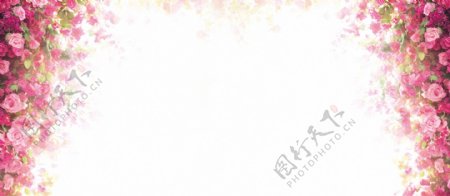 粉色花朵banner背景素材