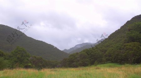 新西兰绿色丘陵