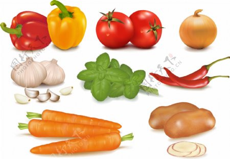 彩色蔬菜水果卡通矢量素材