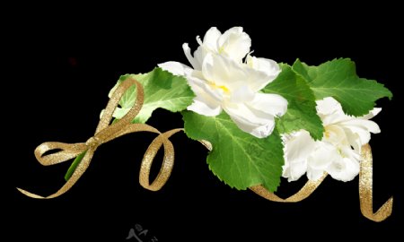 手绘脱俗白色花朵png透明素材