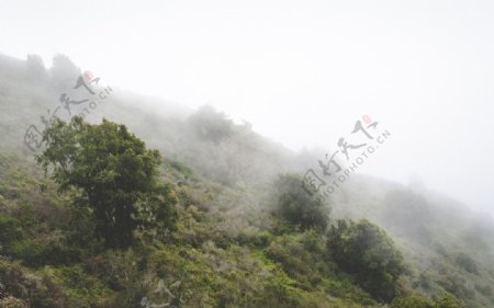 大山美景