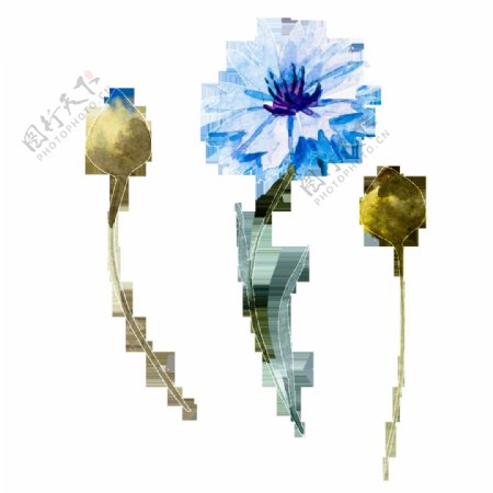 蓝色创意花卉卡通透明素材