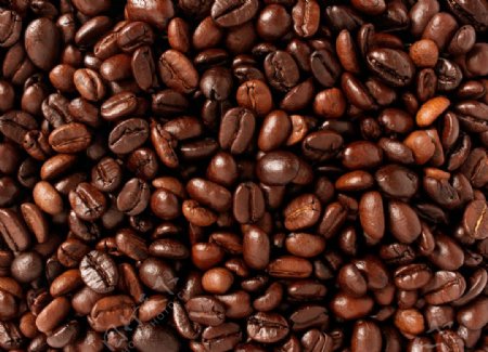 咖啡豆高清