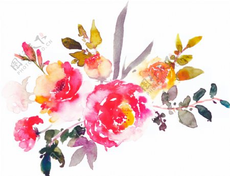 国画植物花卉卡通透明装饰素材