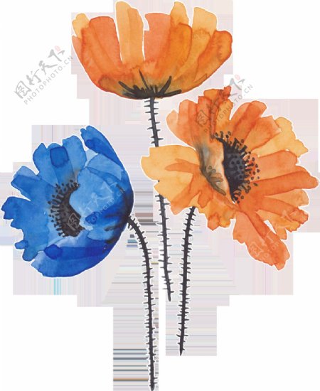 三朵花卉卡通透明装饰素材