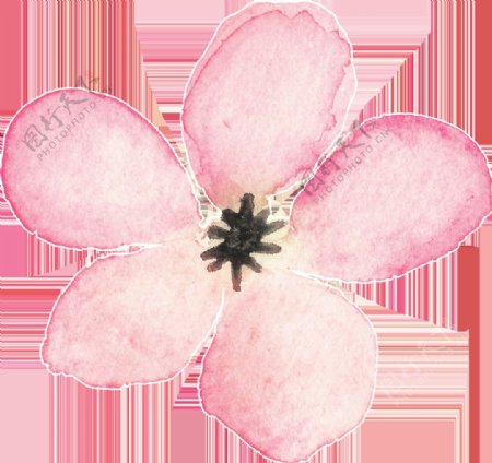 粉色花瓣卡通透明装饰素材