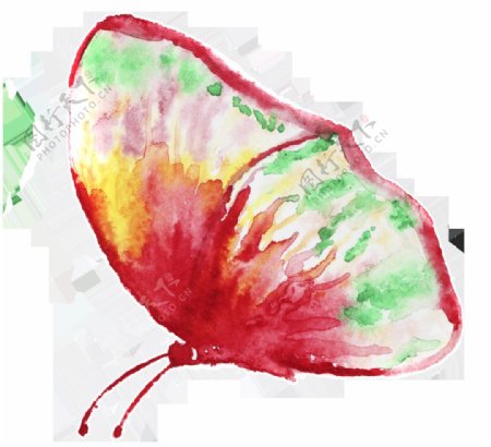 芬红蝴蝶卡通透明装饰素材