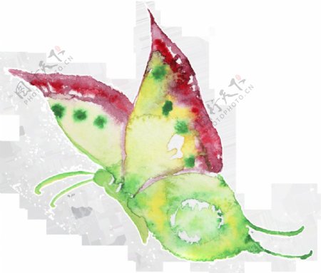 红边蝴蝶卡通透明装饰素材