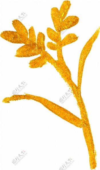 金色高雅植物水彩透明素材