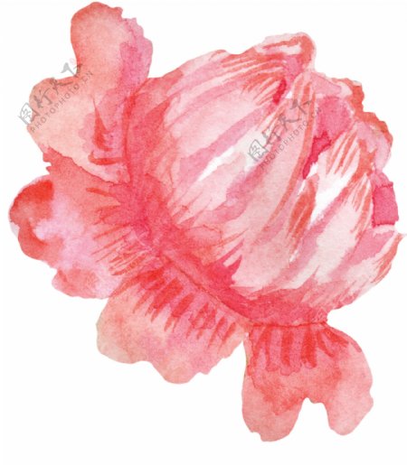 芬红花蕊卡通水彩透明素材