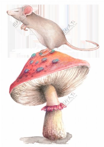 蘑菇与老鼠卡通透明素材
