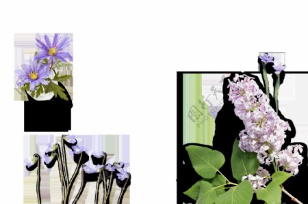 紫色花朵和叶子png元素素材