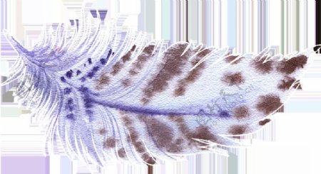 虎斑羽翼卡通水彩透明素材