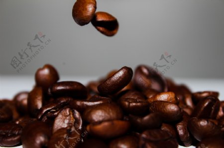 新鲜烘焙咖啡豆jpg背景素材