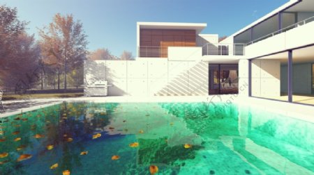 别墅建筑泳池动画