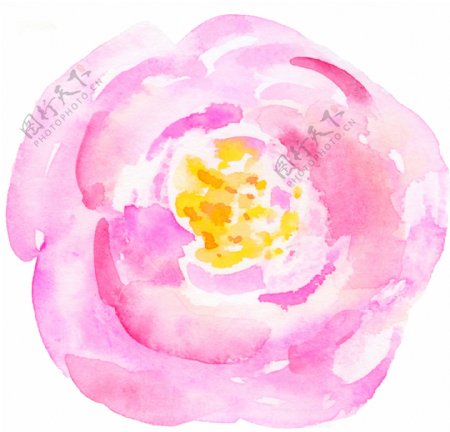 粉色迷人花卉卡通透明素材