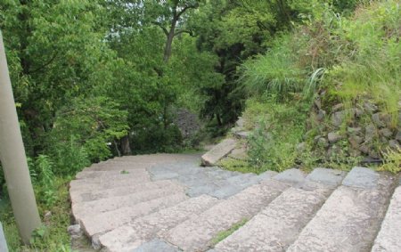 林间石阶