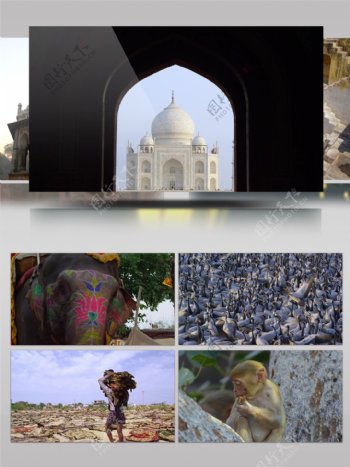 2K印度城市建筑人文风情沙漠骆驼宣传片1