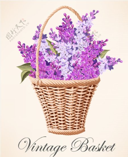 装满紫丁香的花篮矢量素材