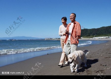 老年夫妻海滩遛狗