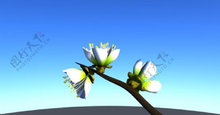精致花朵天空maya3d渲染