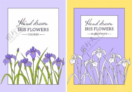 手绘紫色矢量花卉卡片