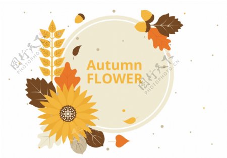 秋季手绘矢量花卉元素
