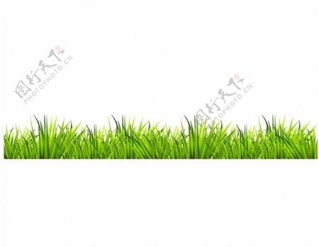 绿色草地png元素