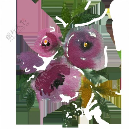 手绘暗紫色花卉png透明素材