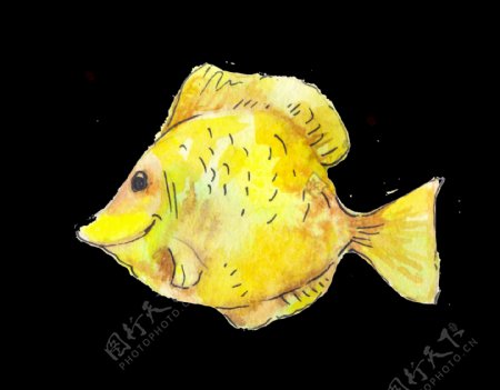 一条黄色小鱼png透明素材