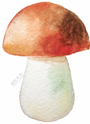手绘彩色蘑菇透明素材合集