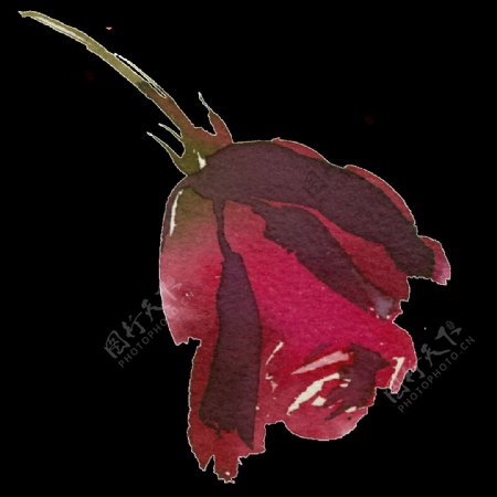 手绘鲜红玫瑰花PNG透明素材