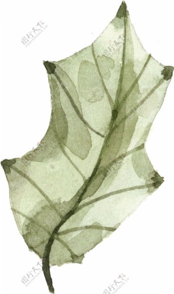 水墨树叶透明装饰素材