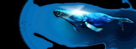蓝色鲸鱼图PNG元素
