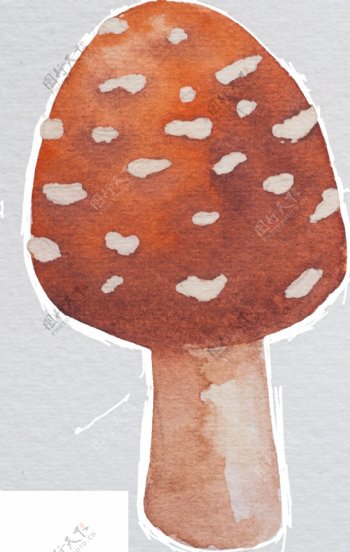 手绘棕色蘑菇矢量素材