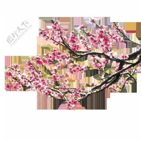 粉色彩绘花枝图案元素