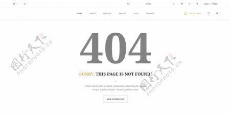 简约网站404页面设计PSD模板
