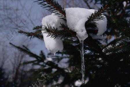 积雪