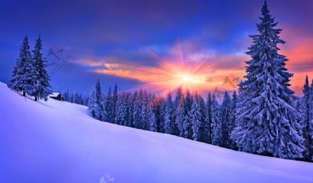 夕阳下的雪山美景