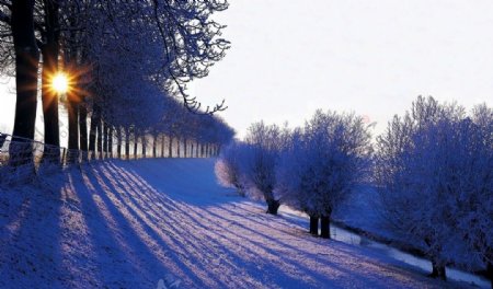 日暮下的乡村雪景