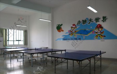 学校乒乓球台室